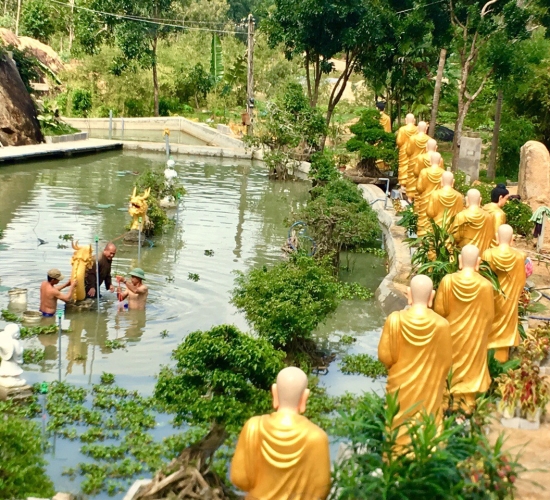 Tăng Đoàn Tỳ Kheo - 2m